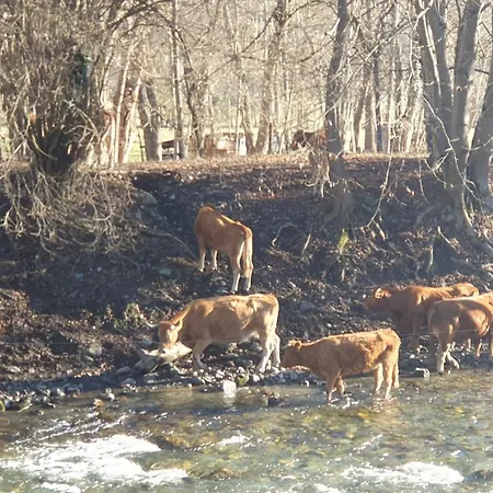 Bel Luchon Centre Wifi - Climatisation 6 Couchages Apartamento