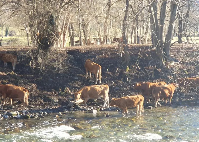 Bel Luchon Centre Wifi - Climatisation 6 Couchages 公寓